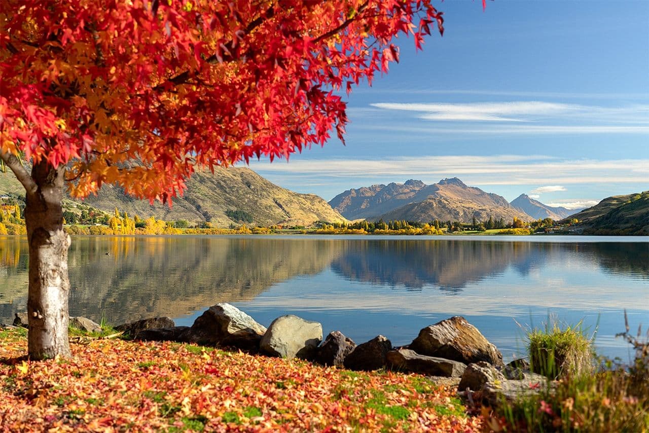 Welcome Autumn in Queenstown: Golden Leaves & Outdoor Adventures 🍂