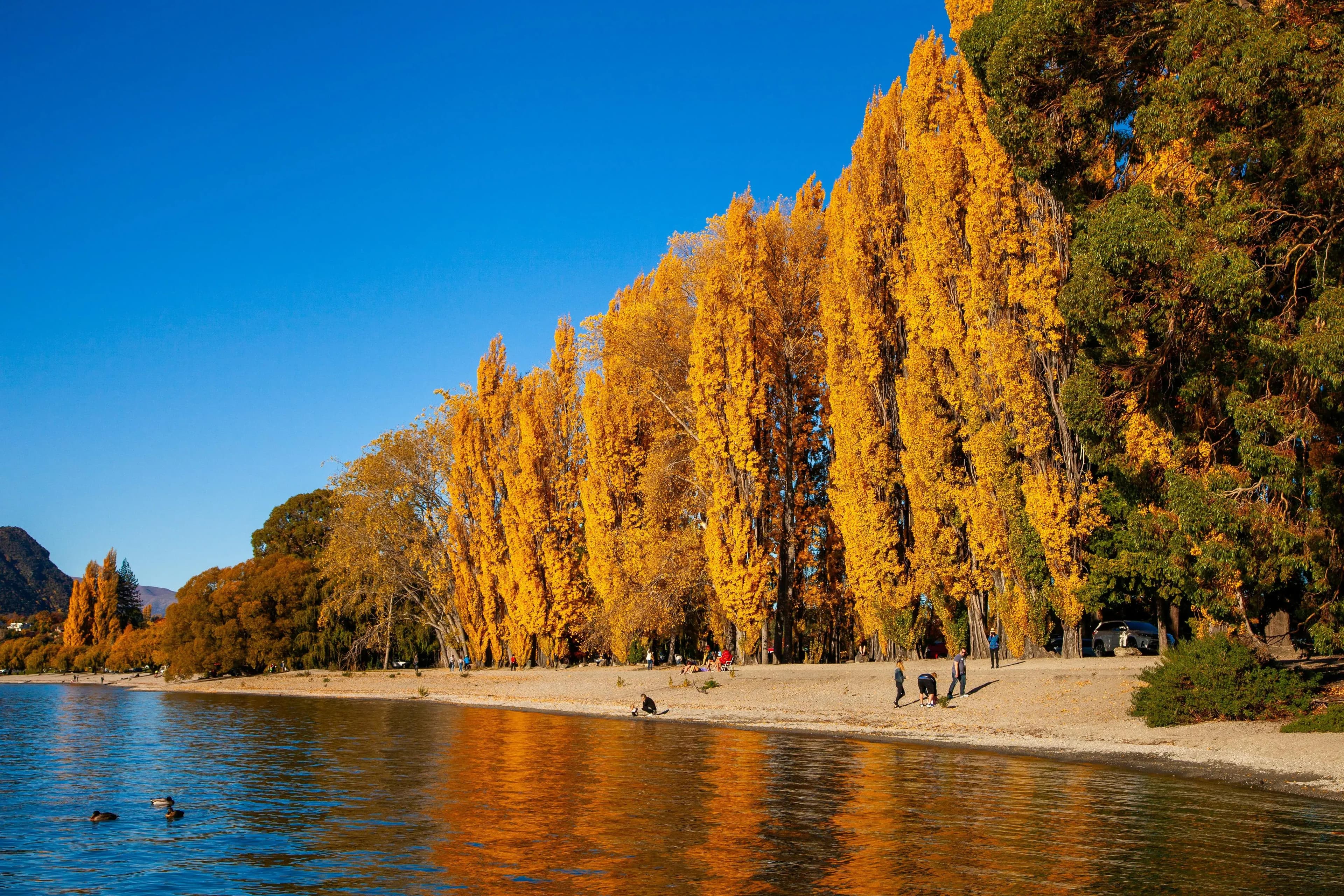 Explore Queenstown in Autumn with Evolve Rentals!